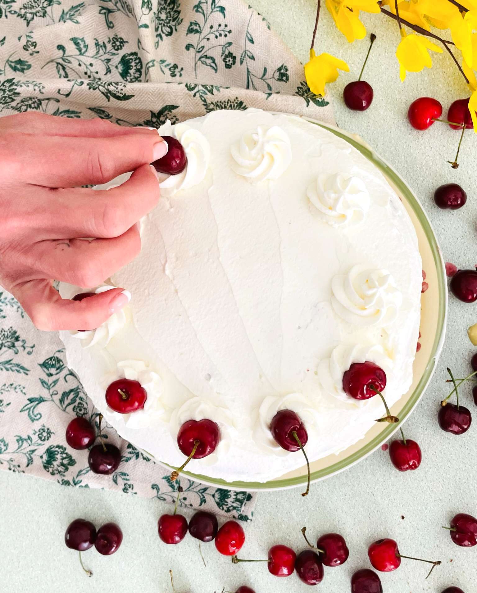 White Forest cake being decorated wtih cherries.