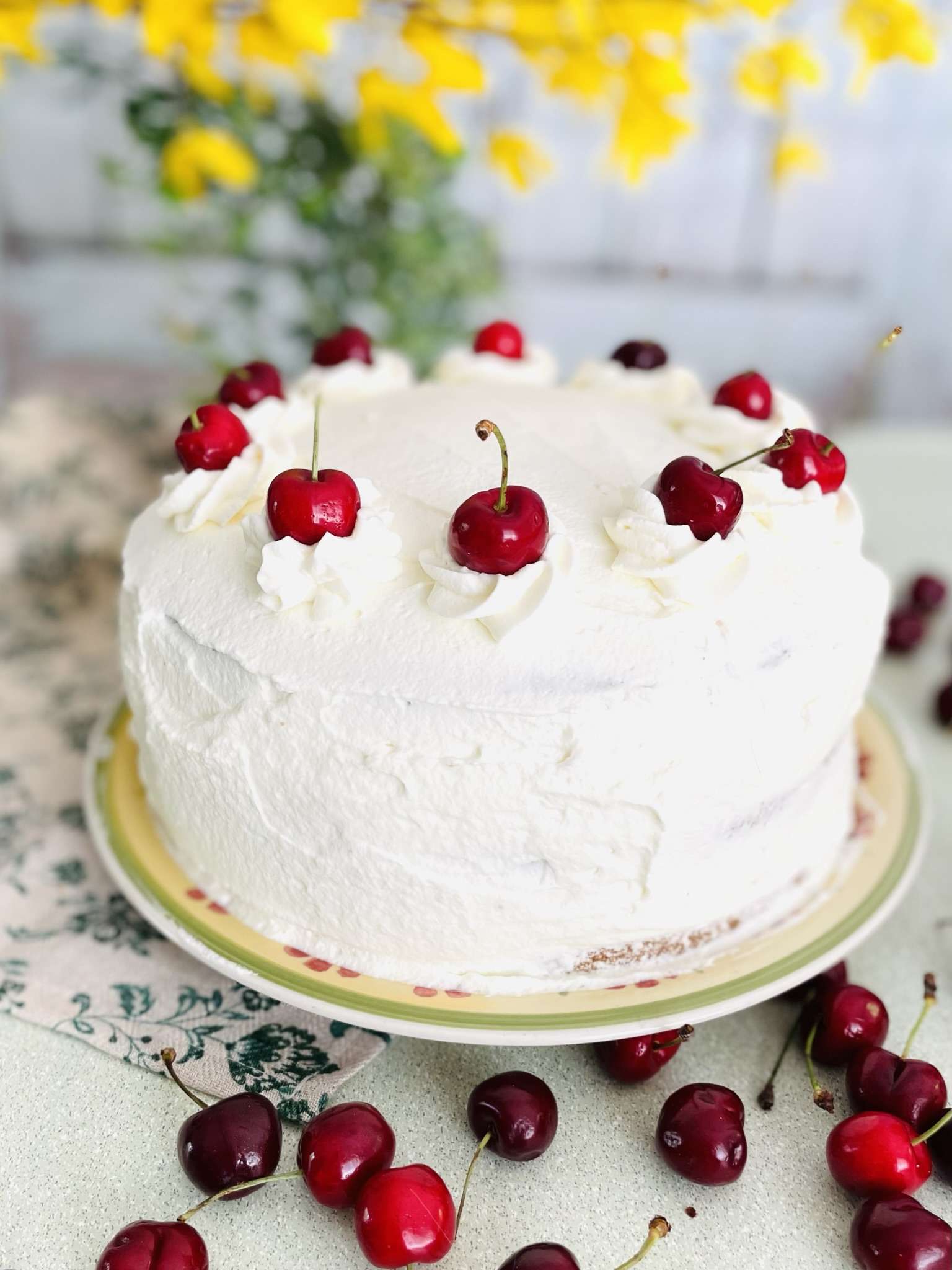 White black forest cake frosted in whipped cream and topped with cherries.