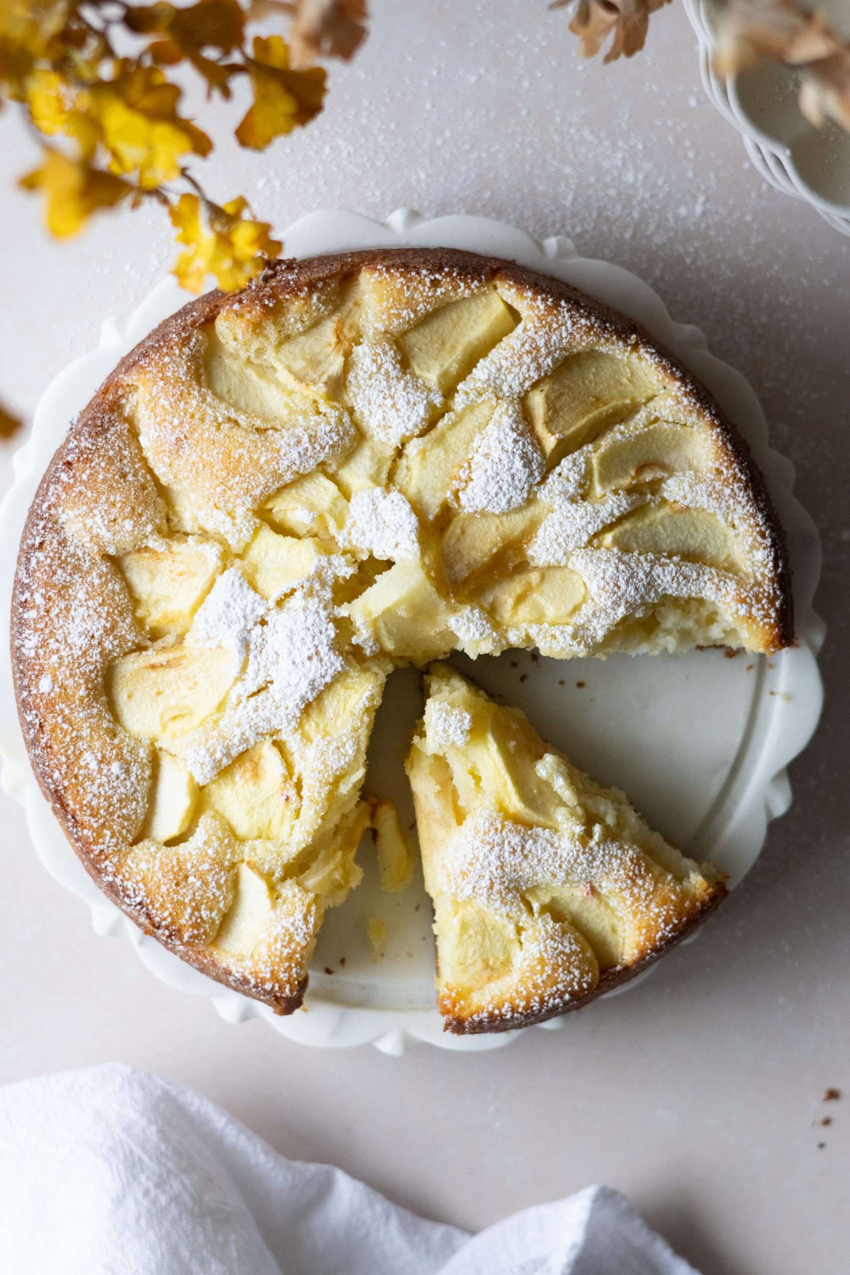 12 Easy Swiss Recipes You Can Try at Home 21 Swiss apple cake seen from the top, dusted with powdered sugar and with a slice cut out.